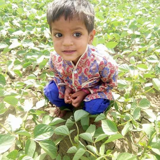 mahesh Lodhi