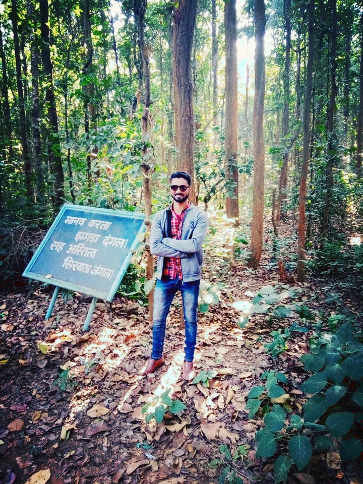 jungle...