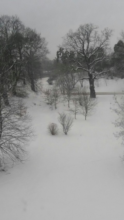 winter