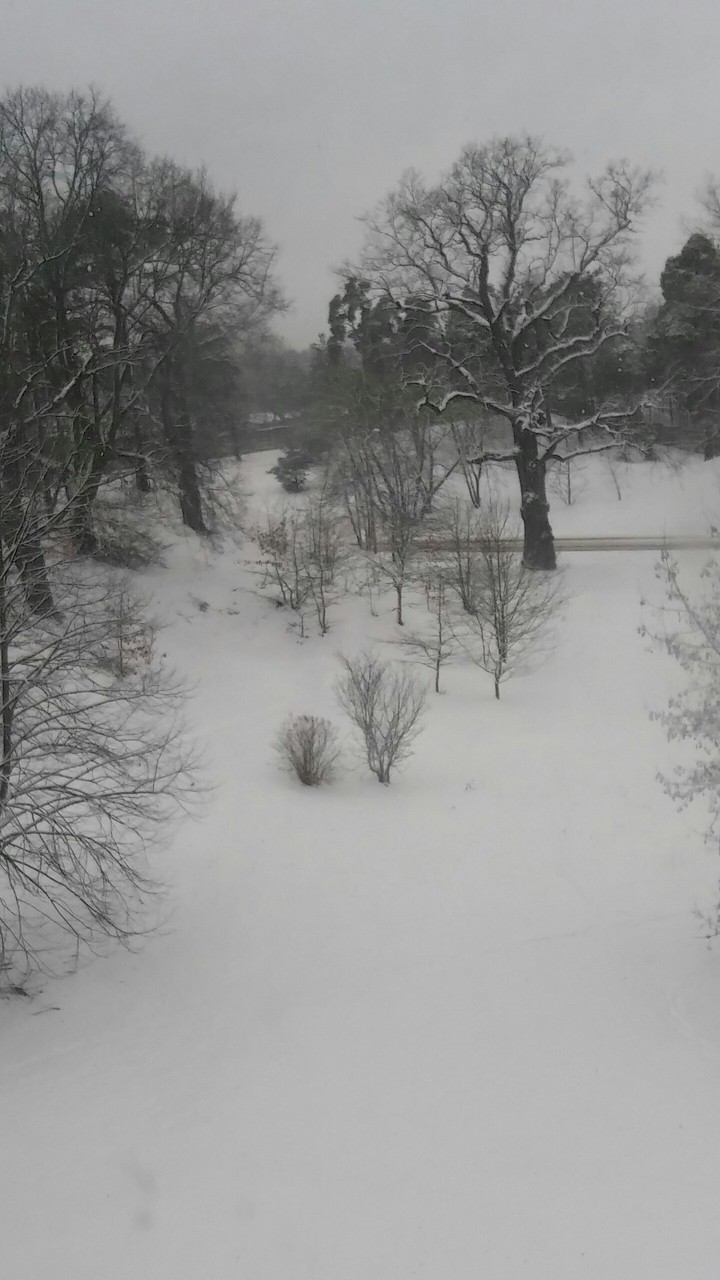 winter