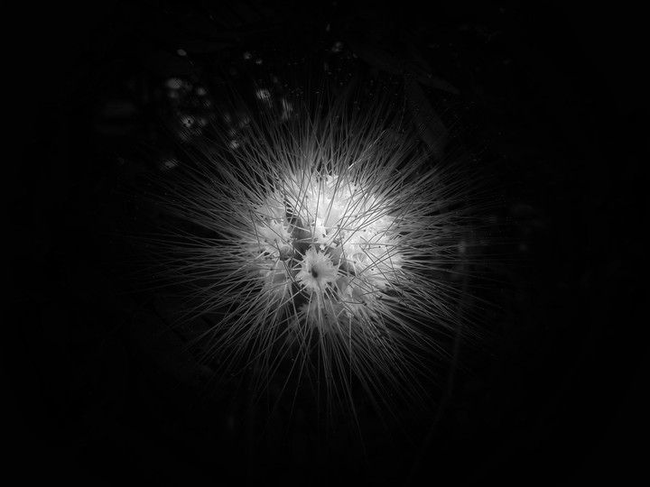 black and white