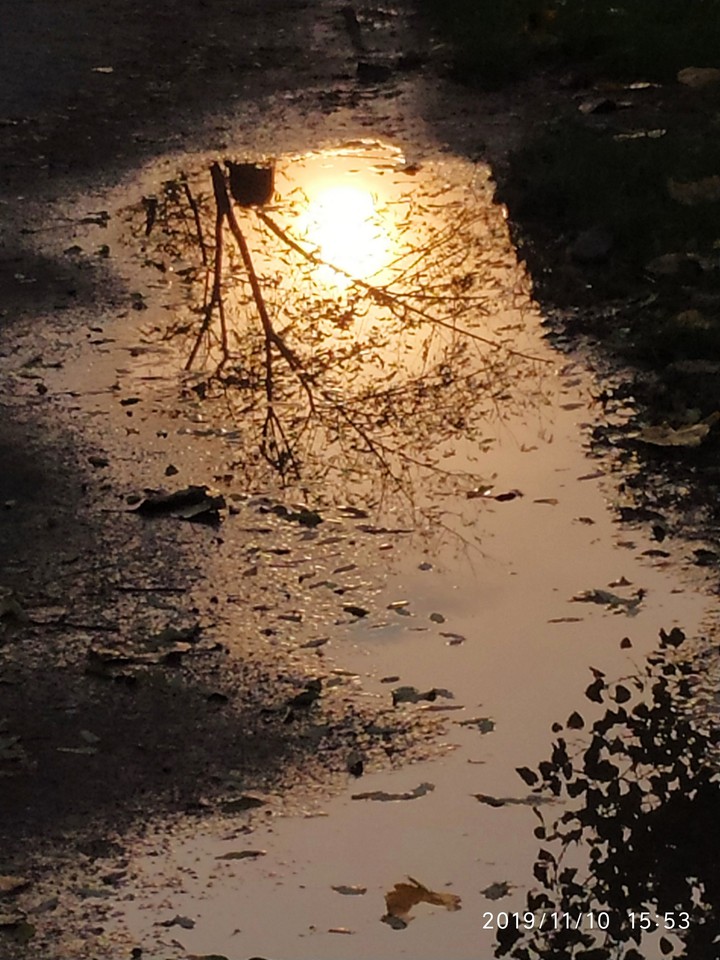 Riflessi d'autunno
