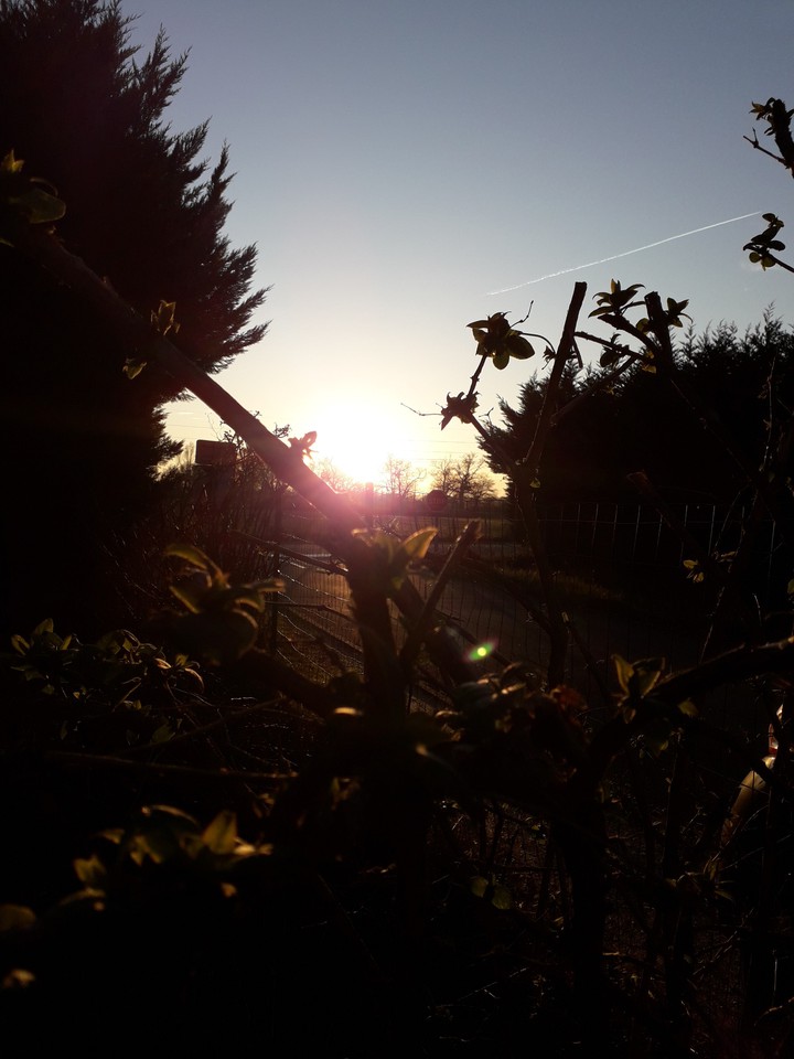 nature
