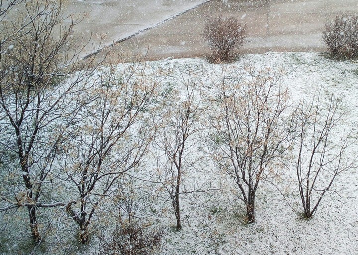 snow