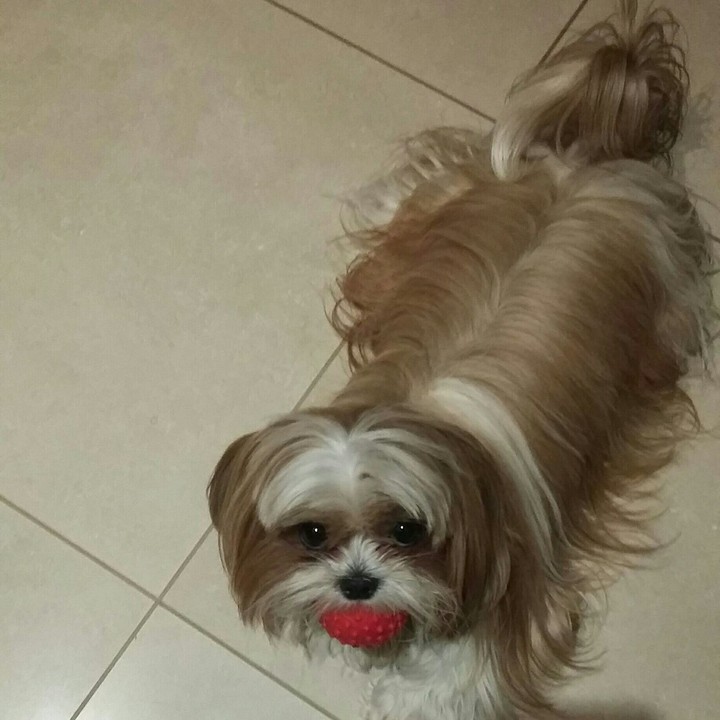 Red ball