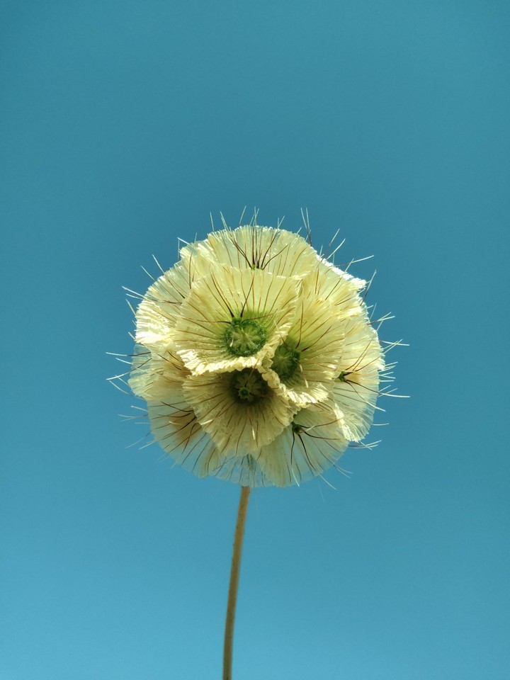 raising up to sky