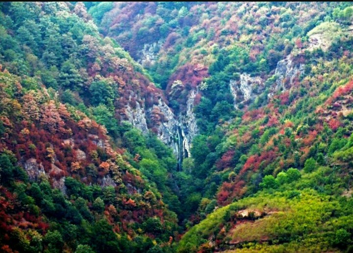 The mountain and Jungle