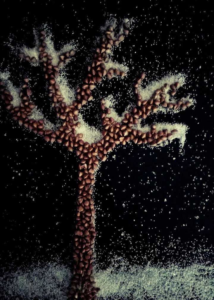 Snowy night