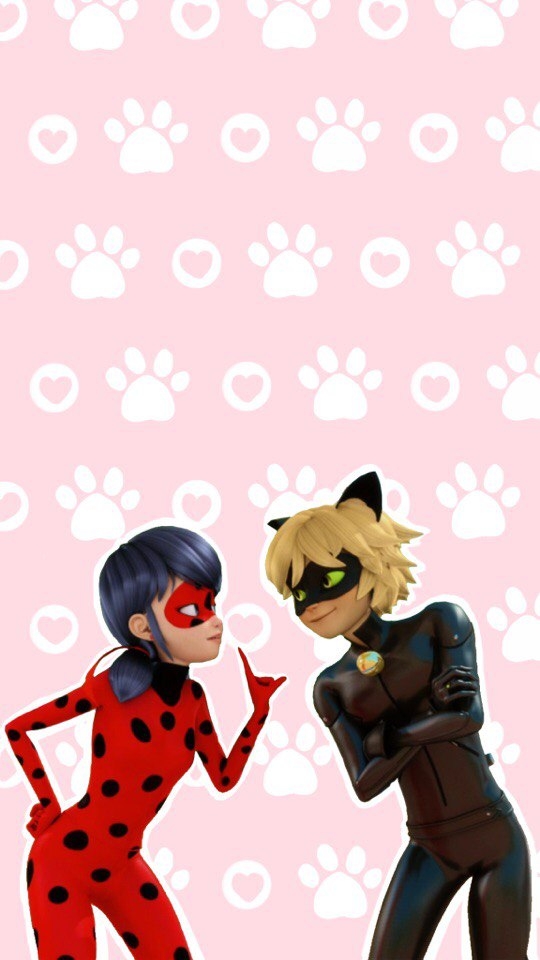 Ladybug and Cat Noir