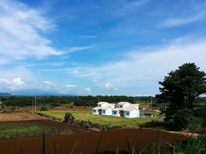 제주