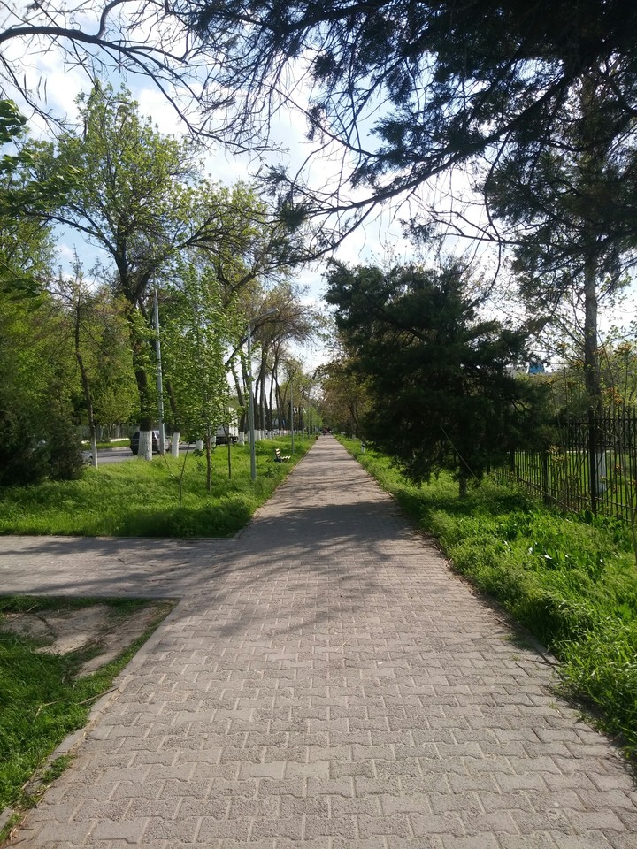 Spring day
