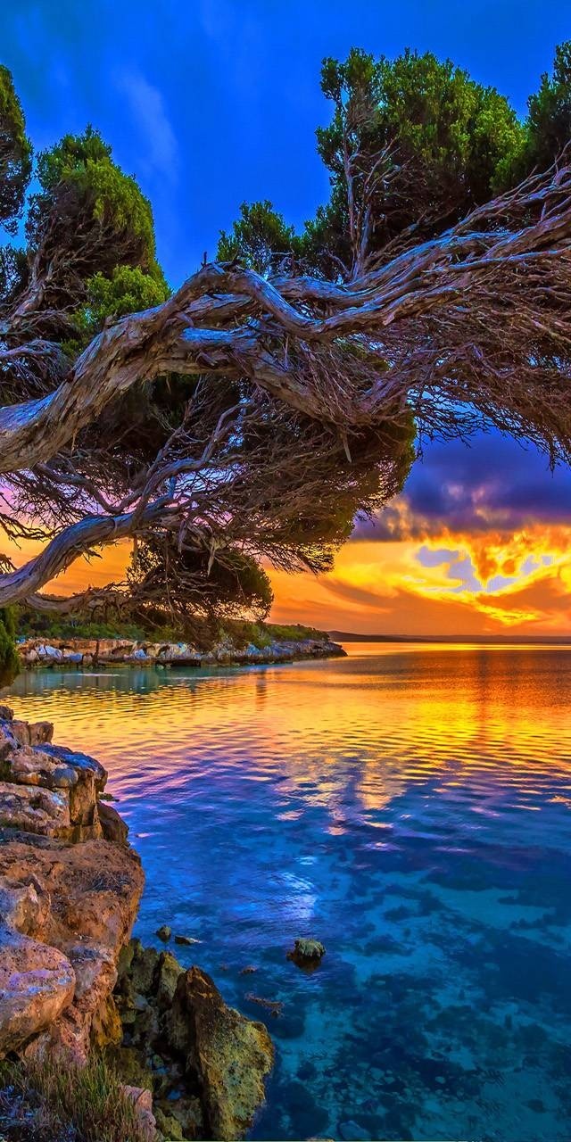 Atardecer