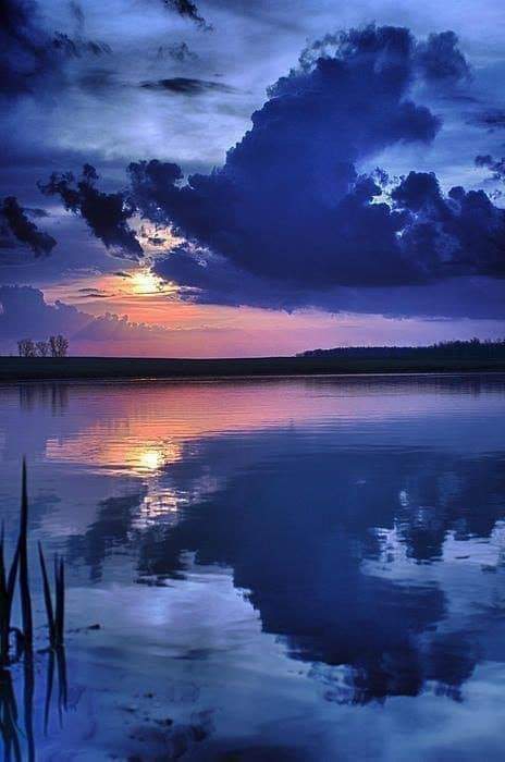 God's Paintbrush ❤