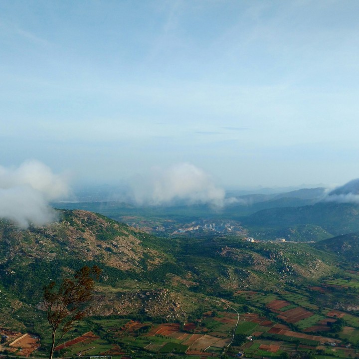 Sun Kissed Hills