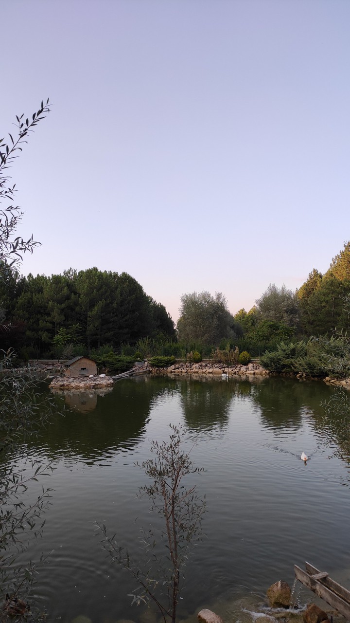 lake