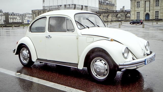 coccinelle