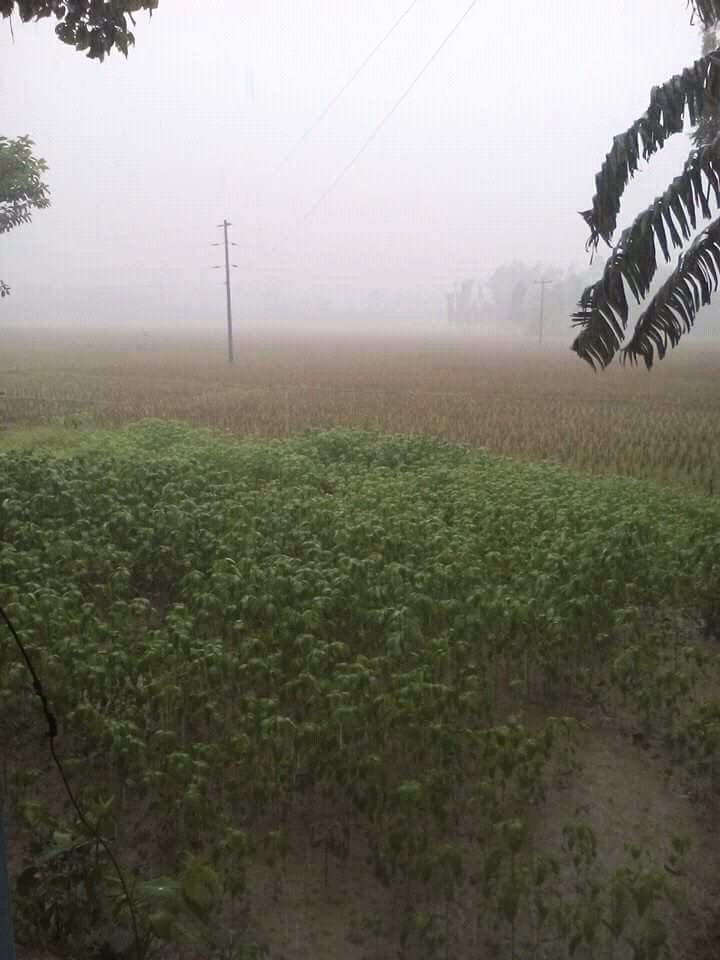 #midday#rain