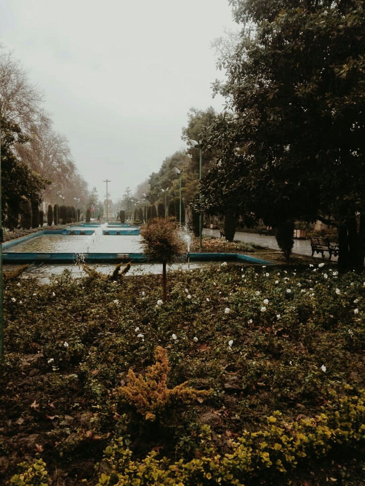 Rain in Park