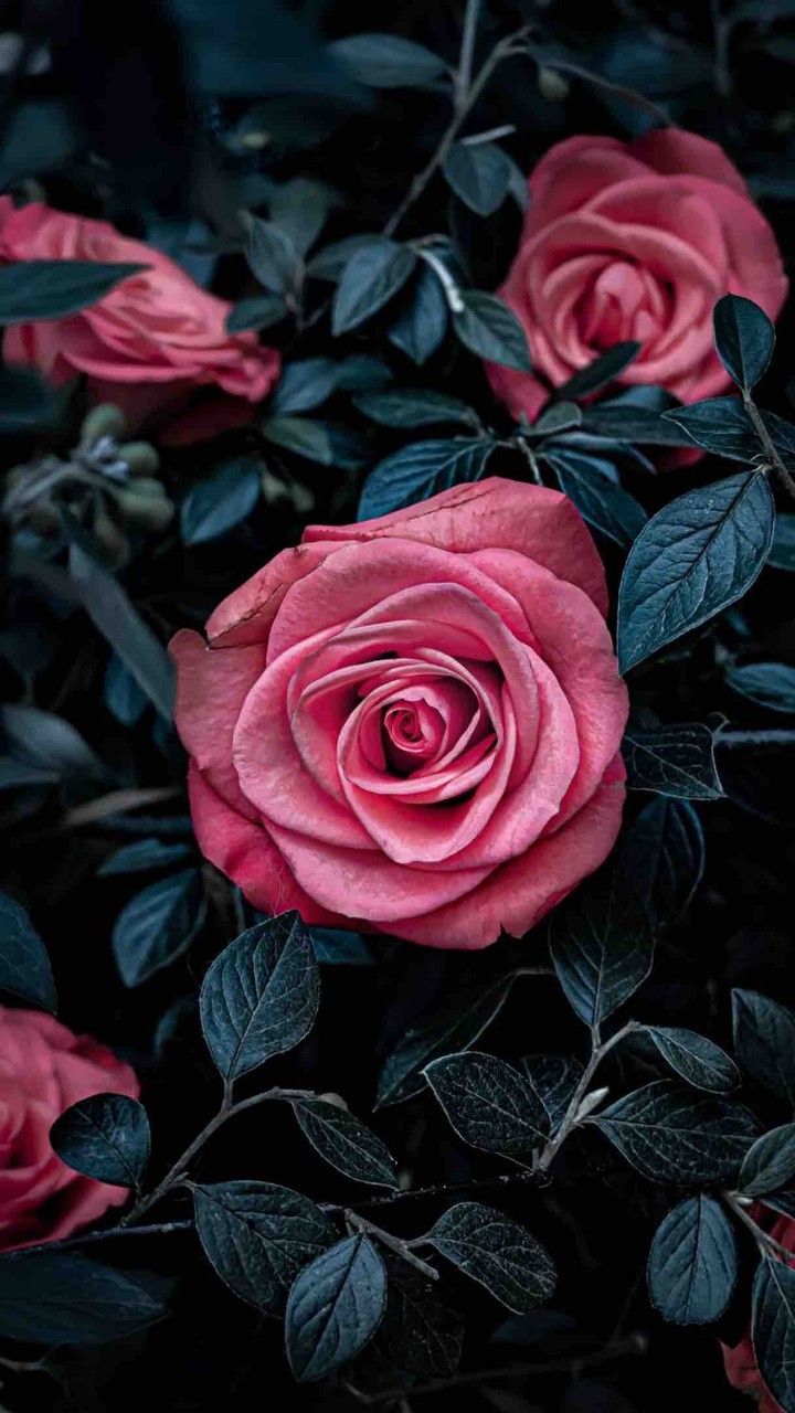 ❤