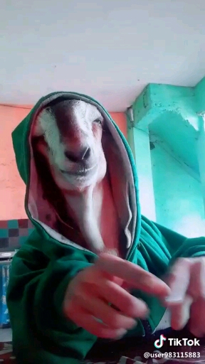 funy