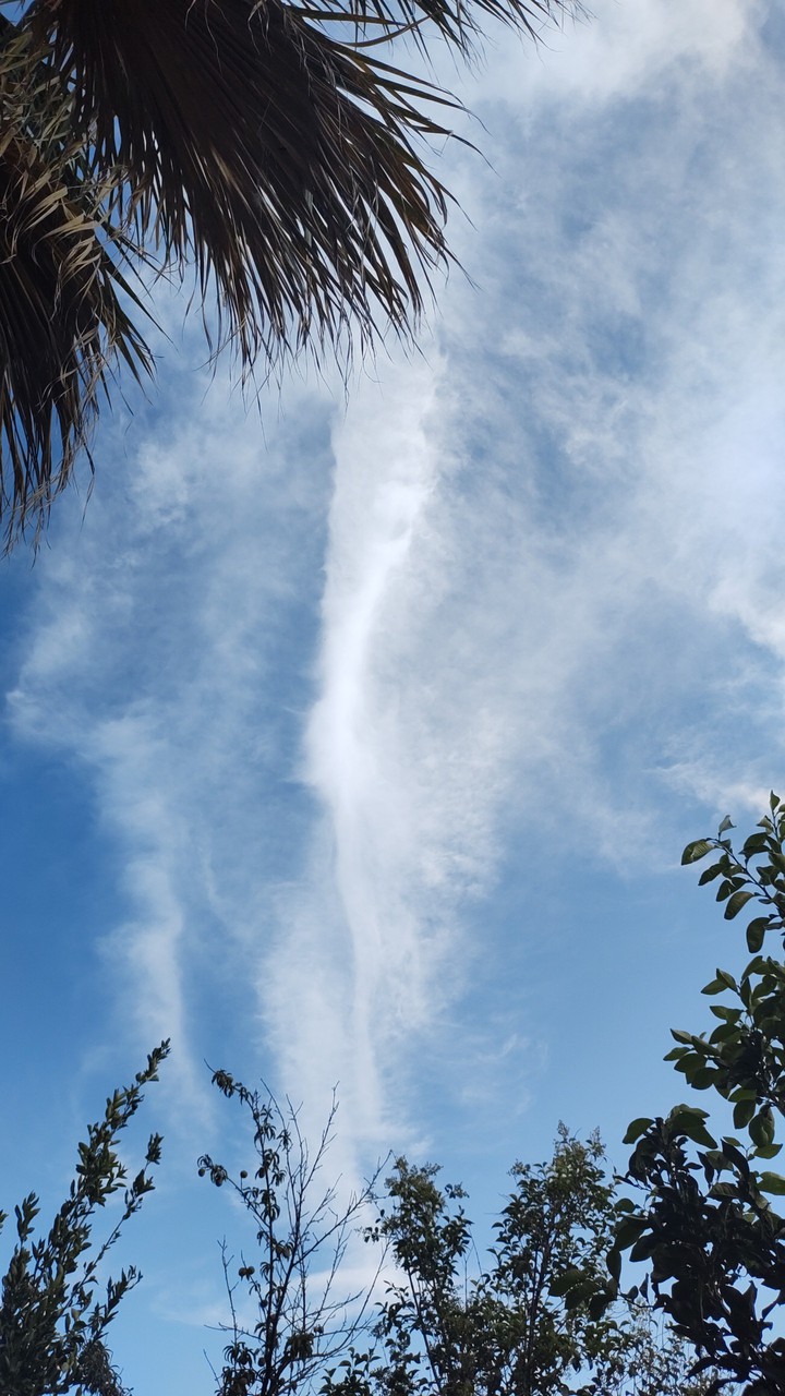 cielo