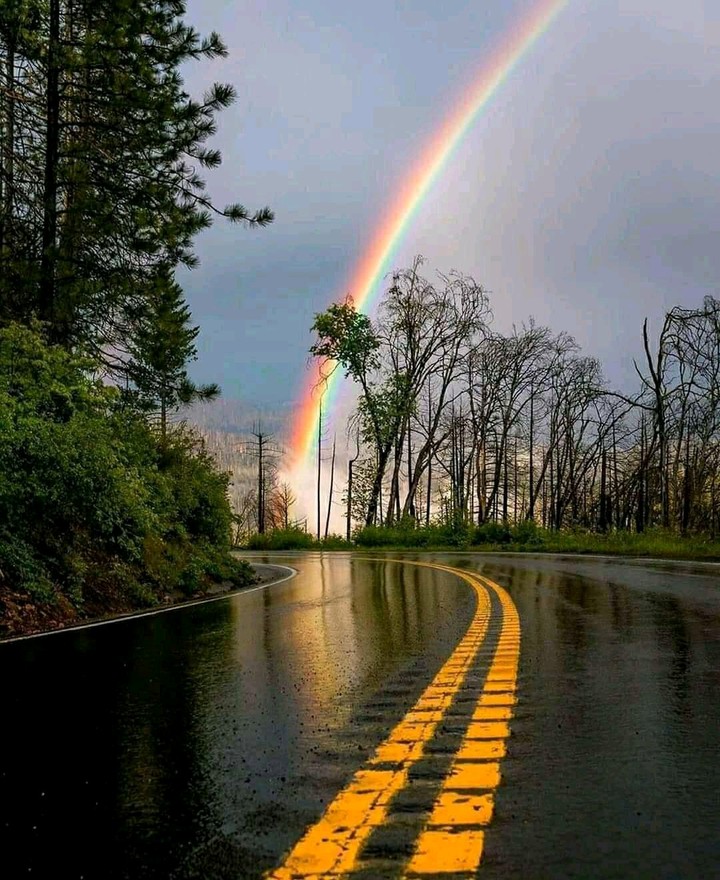 road