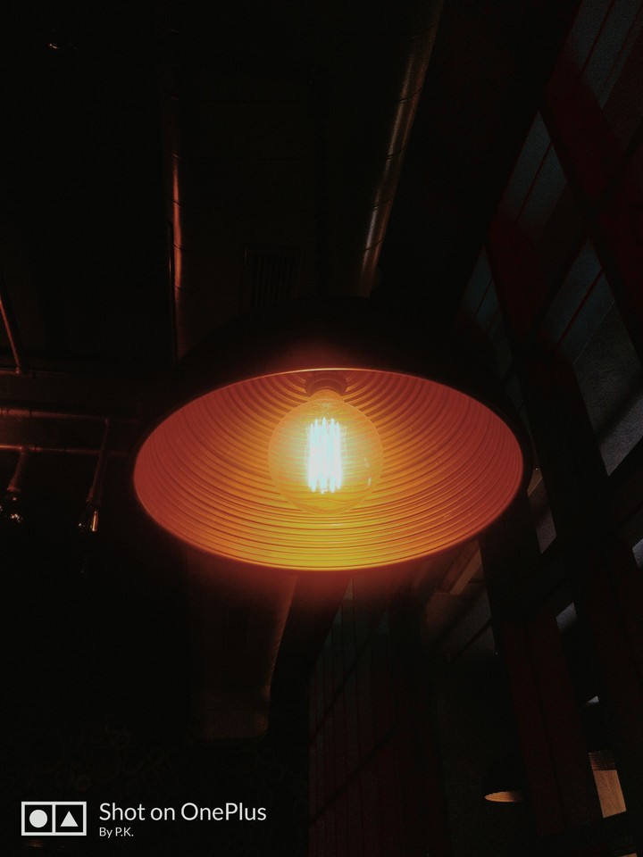 bulb beauty