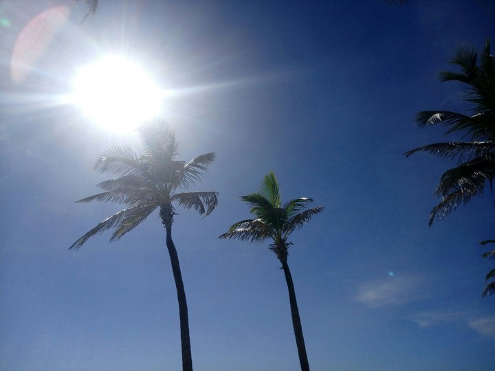 dia ensolarado