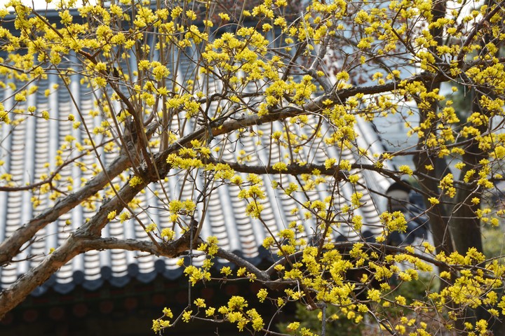 풍경이미지