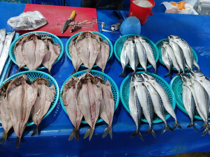 Ju Mun Jin fish Market