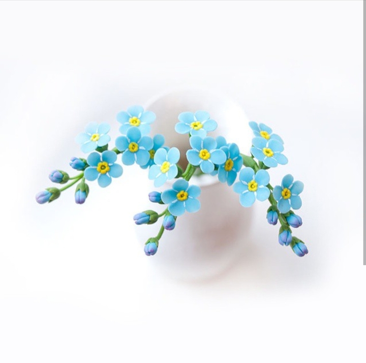 Forget-me-not