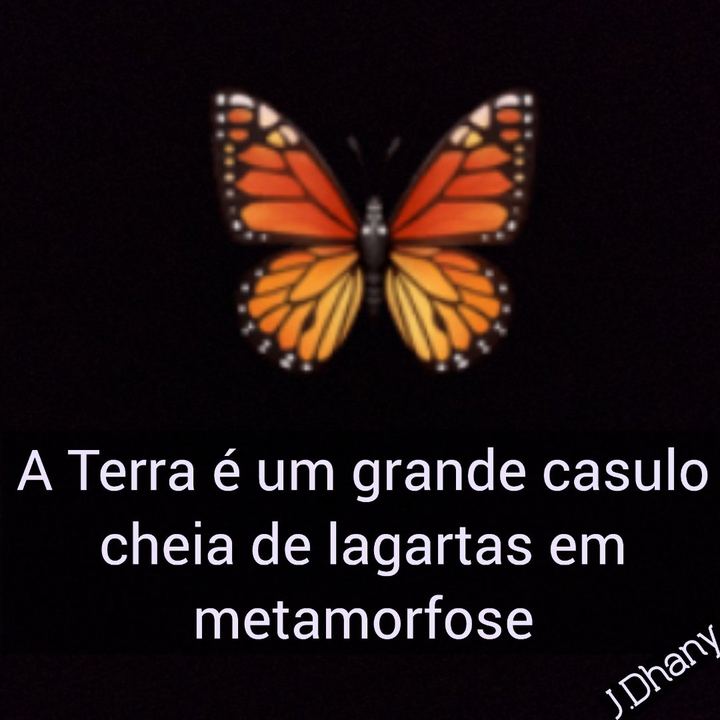 Somos lagartas em metamorfose