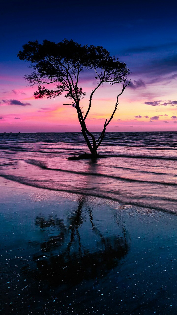 sea
