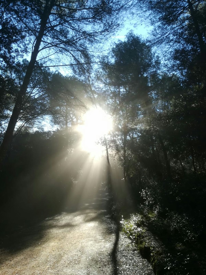 Un paseo por el campo