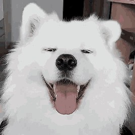 ㅇ