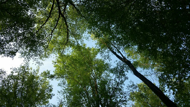 baghu kordkooy golestan iran