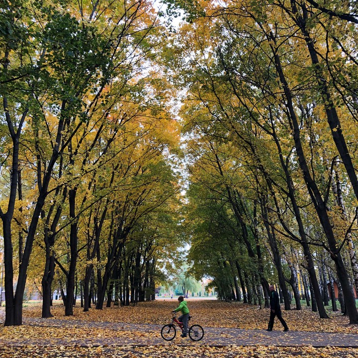 Осень