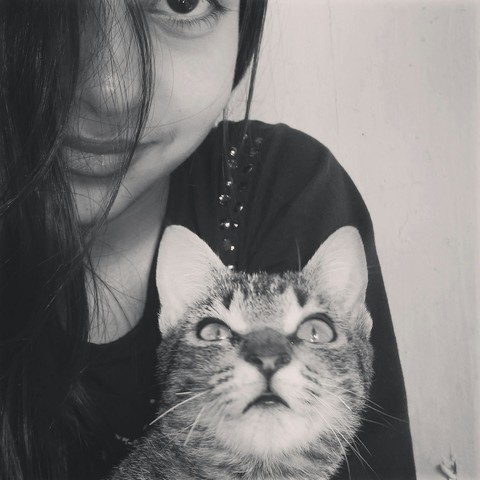 cat, gato, girl, garota