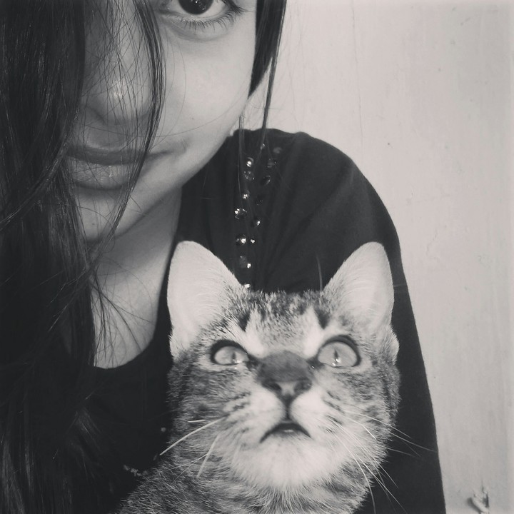 cat, gato, girl, garota