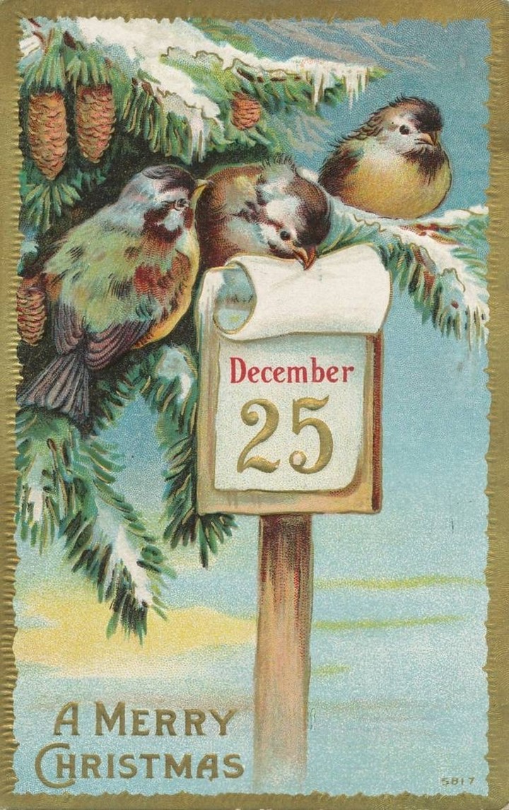 Navidad
