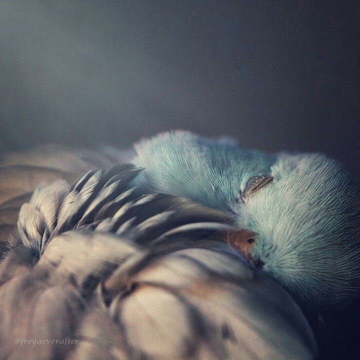 ❤