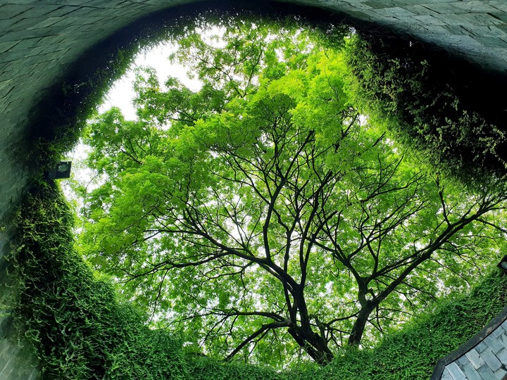 The fort canning park