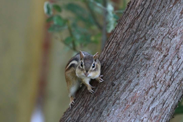 What are you looking at?