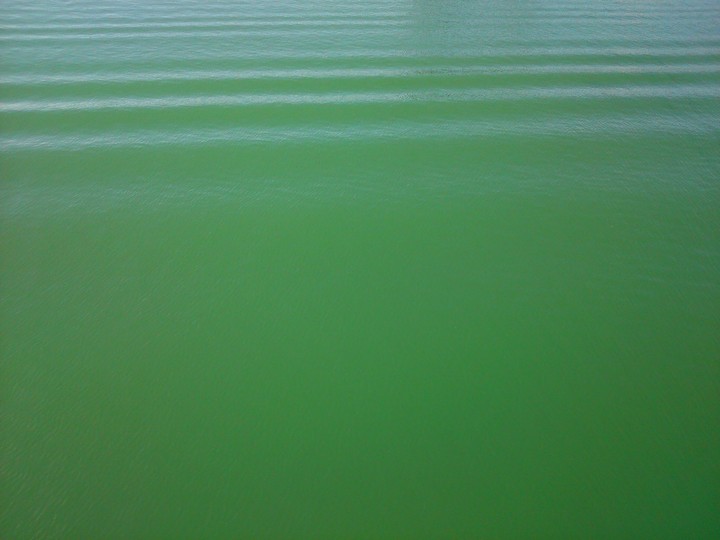 Green Lake