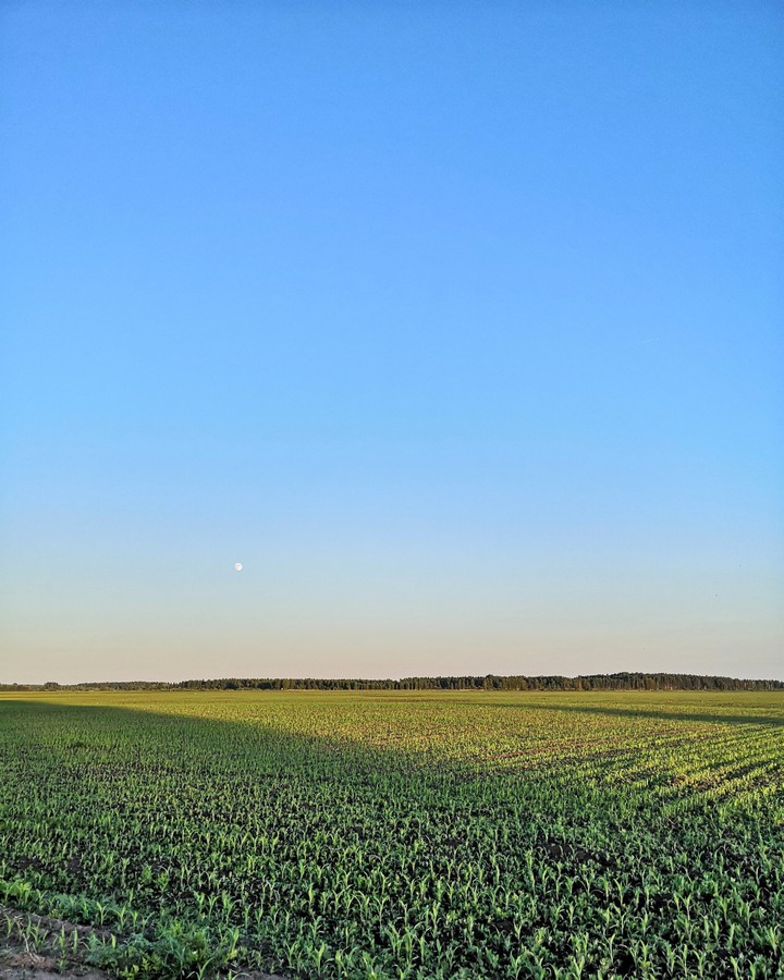 moon