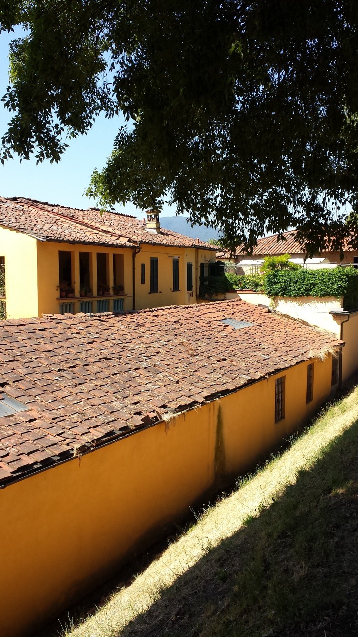 Lucca