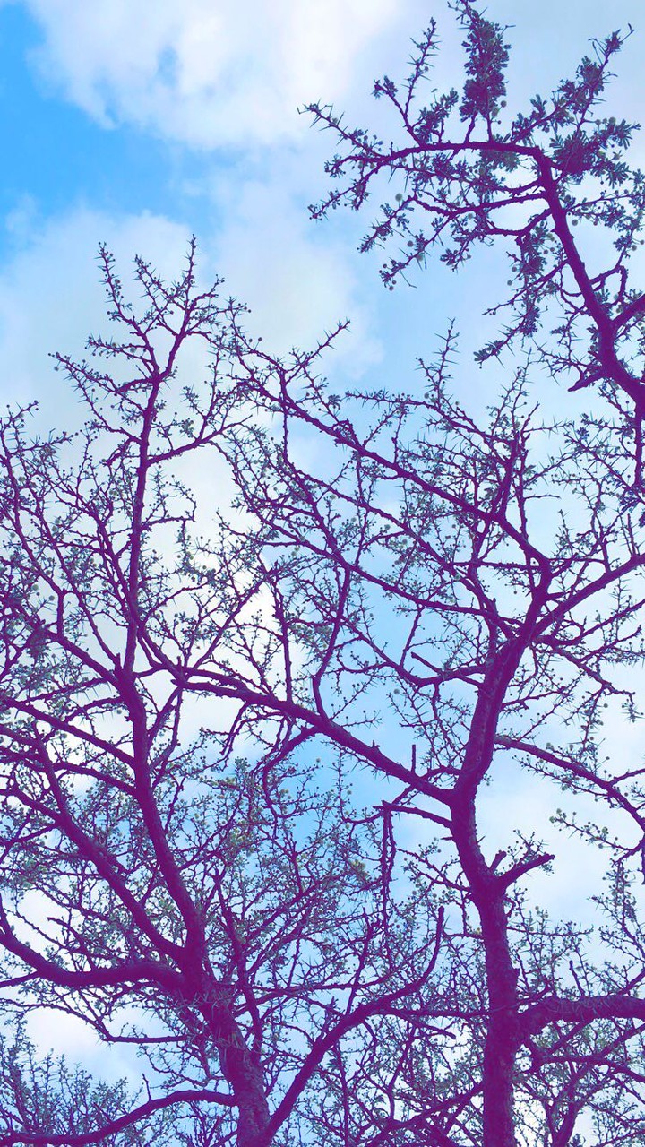 sky