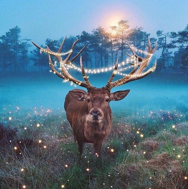 Nature