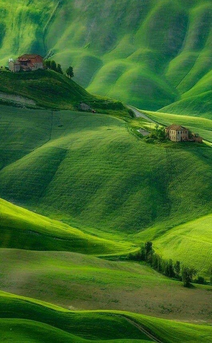 alpine_meadows