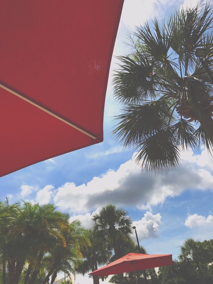 OR FL